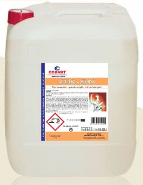 Cleaner 20l